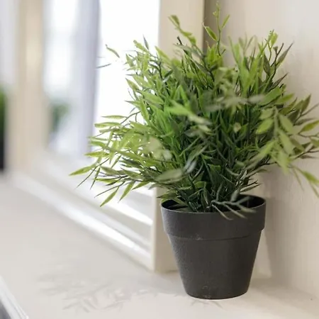 Urban Chic- Old Town - Great Location - Uniwersytecka * Wroclaw